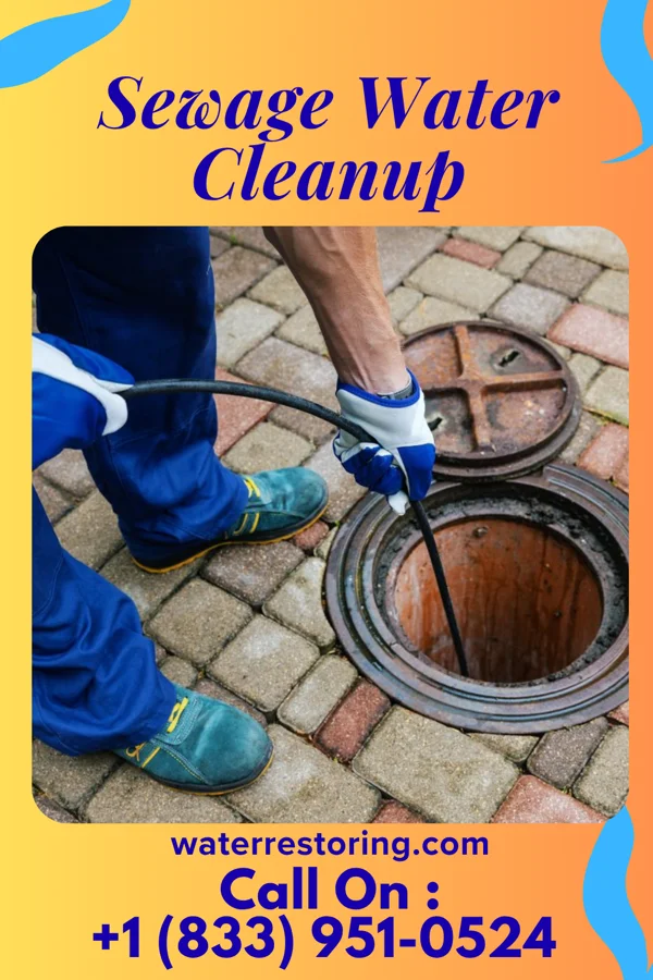 Sewage Water Cleanup in Savannah, MO